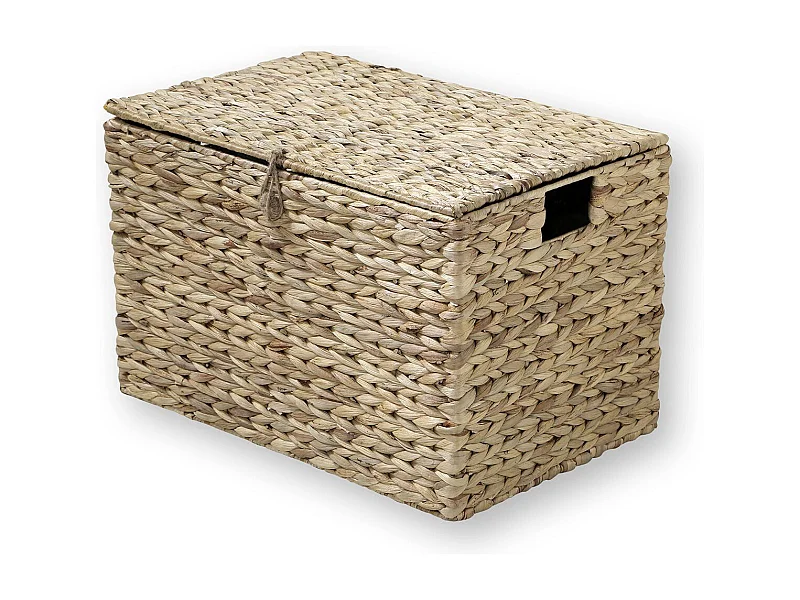 Baule in Giacinto d'acqua con coperchio