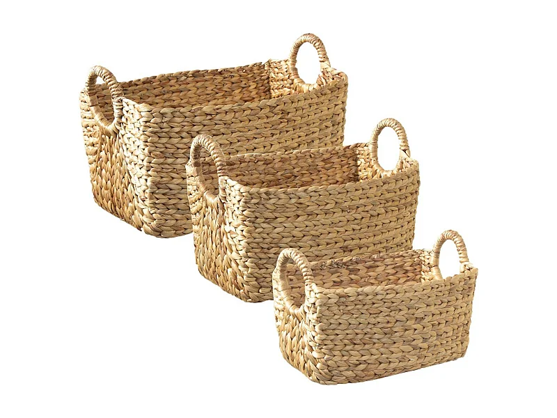 Lotto di 3 Cesti in Giacinto d'acqua con manici