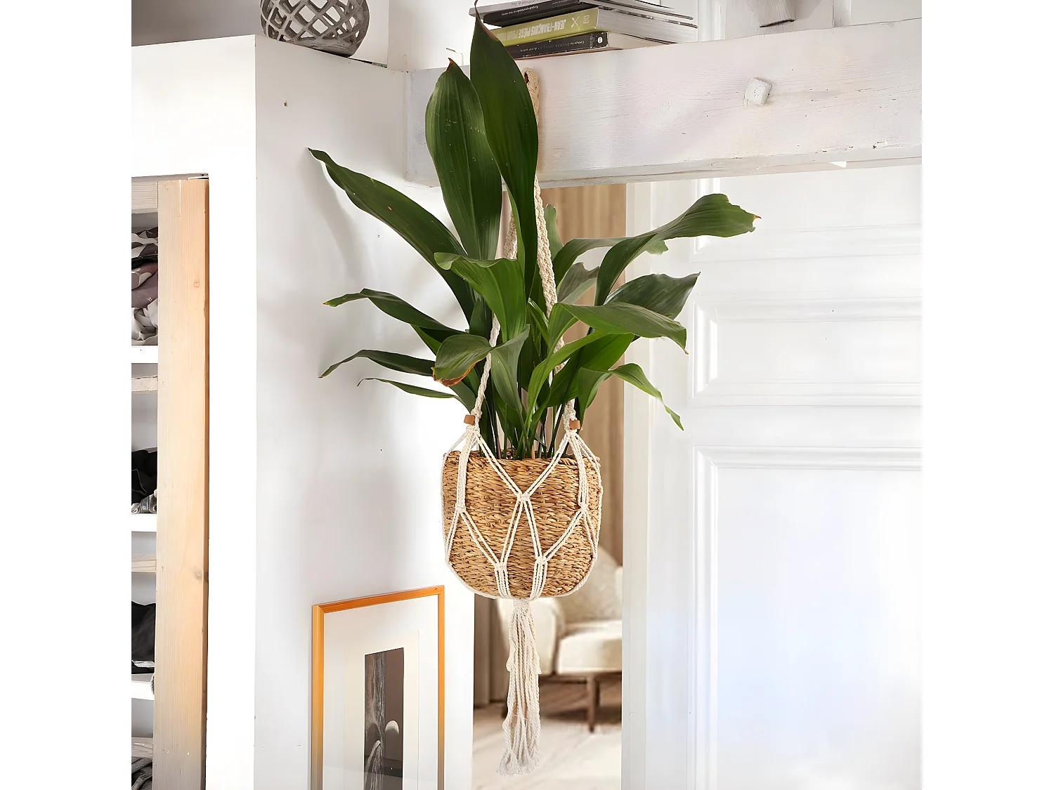 Hängekorb mit Pflanzenhalterung aus Seetang