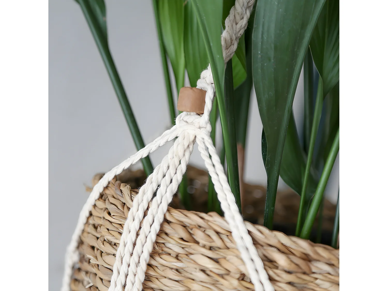 Hängekorb mit Pflanzenhalterung aus Seetang