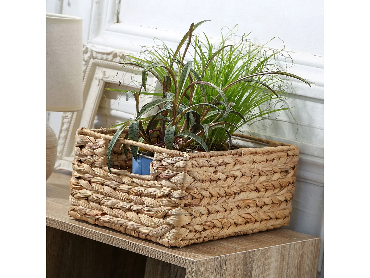 Cesto in giacinto d'acqua struttura in metallo - altezza 13 cm