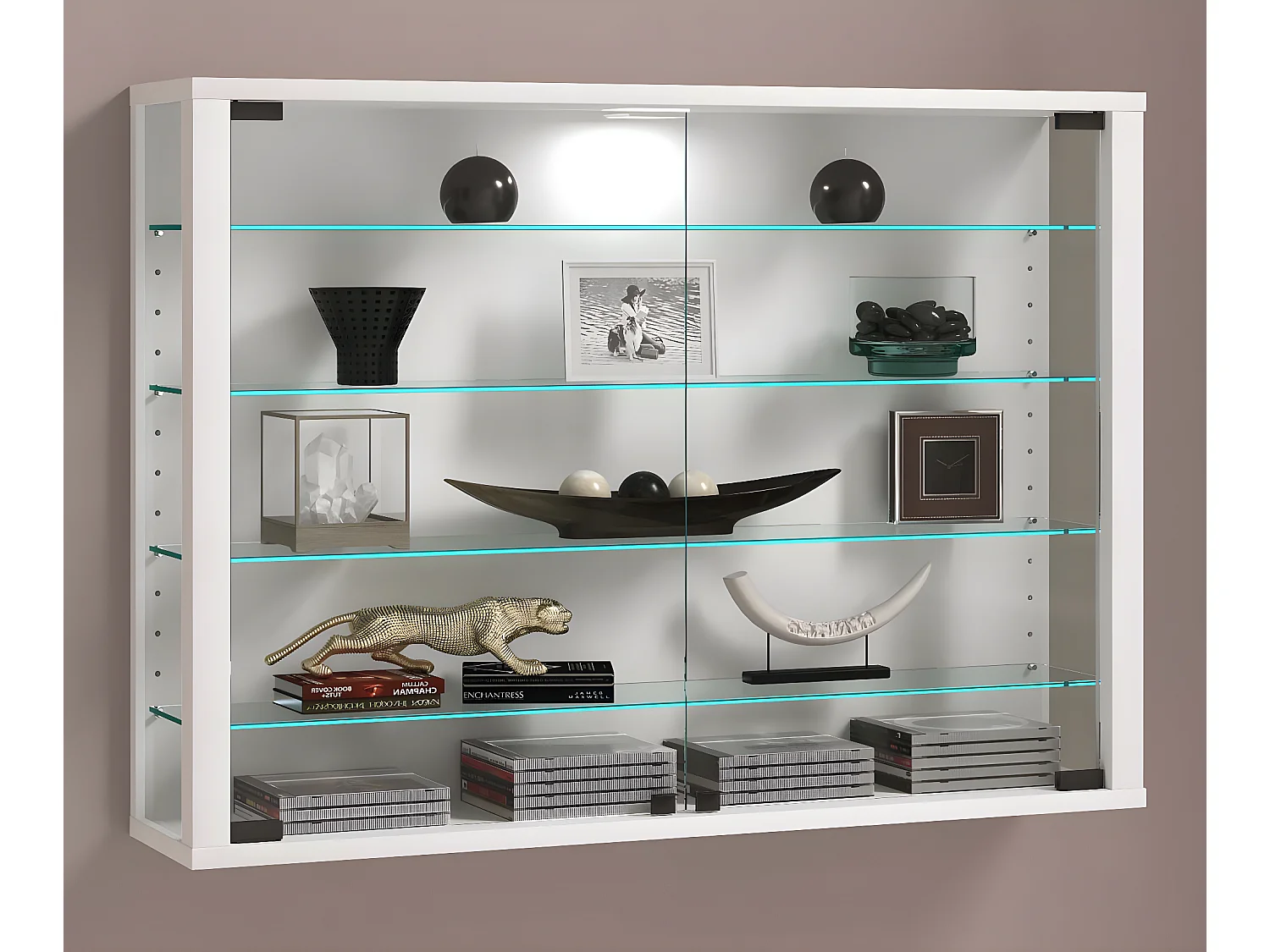 VCM vitrine murale vitrine suspendue vitrine murale vitrine en verre Vitrosa L (blanc)