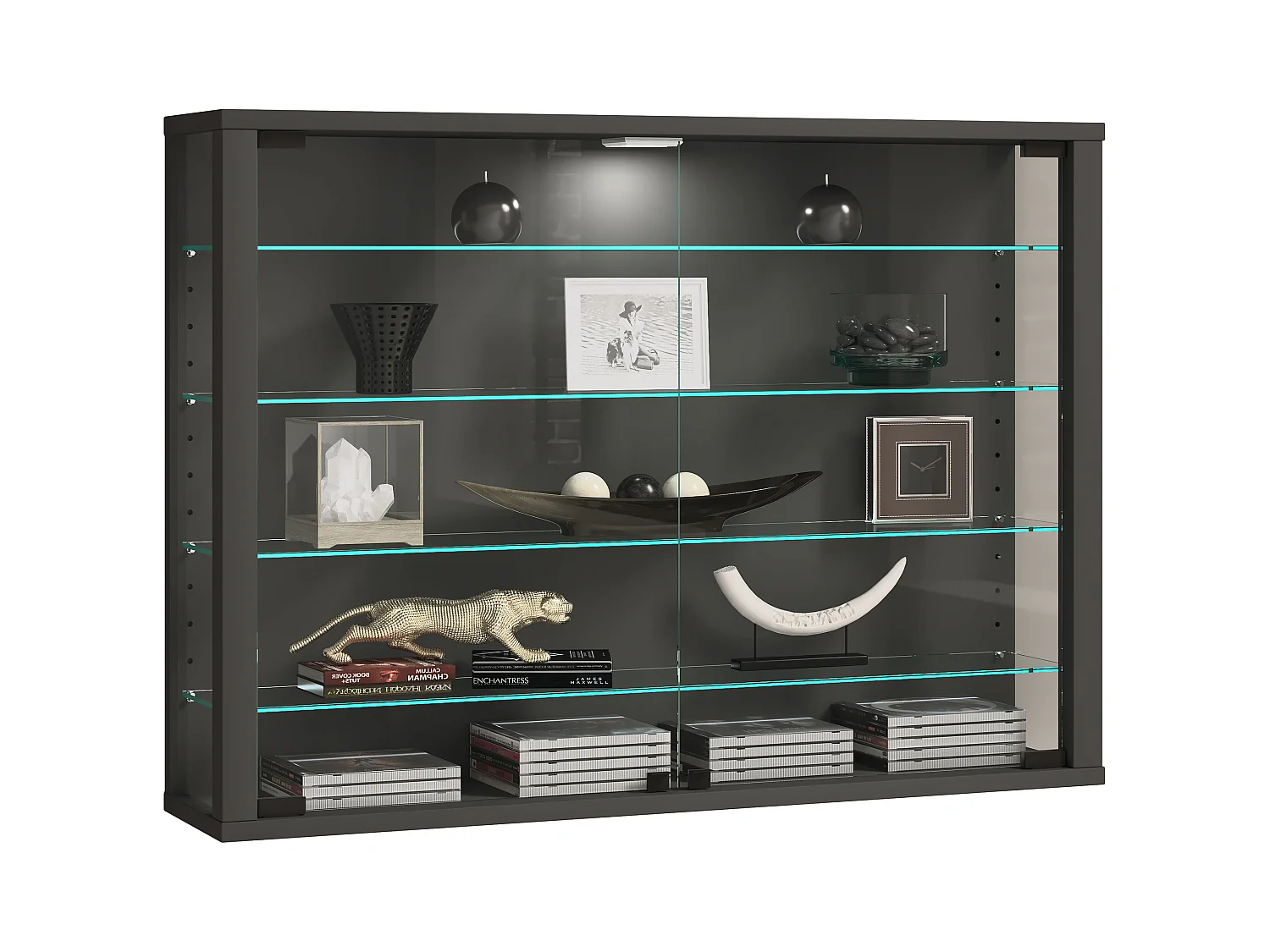 Wandvitrine Glazen vitrine Vitrosa L