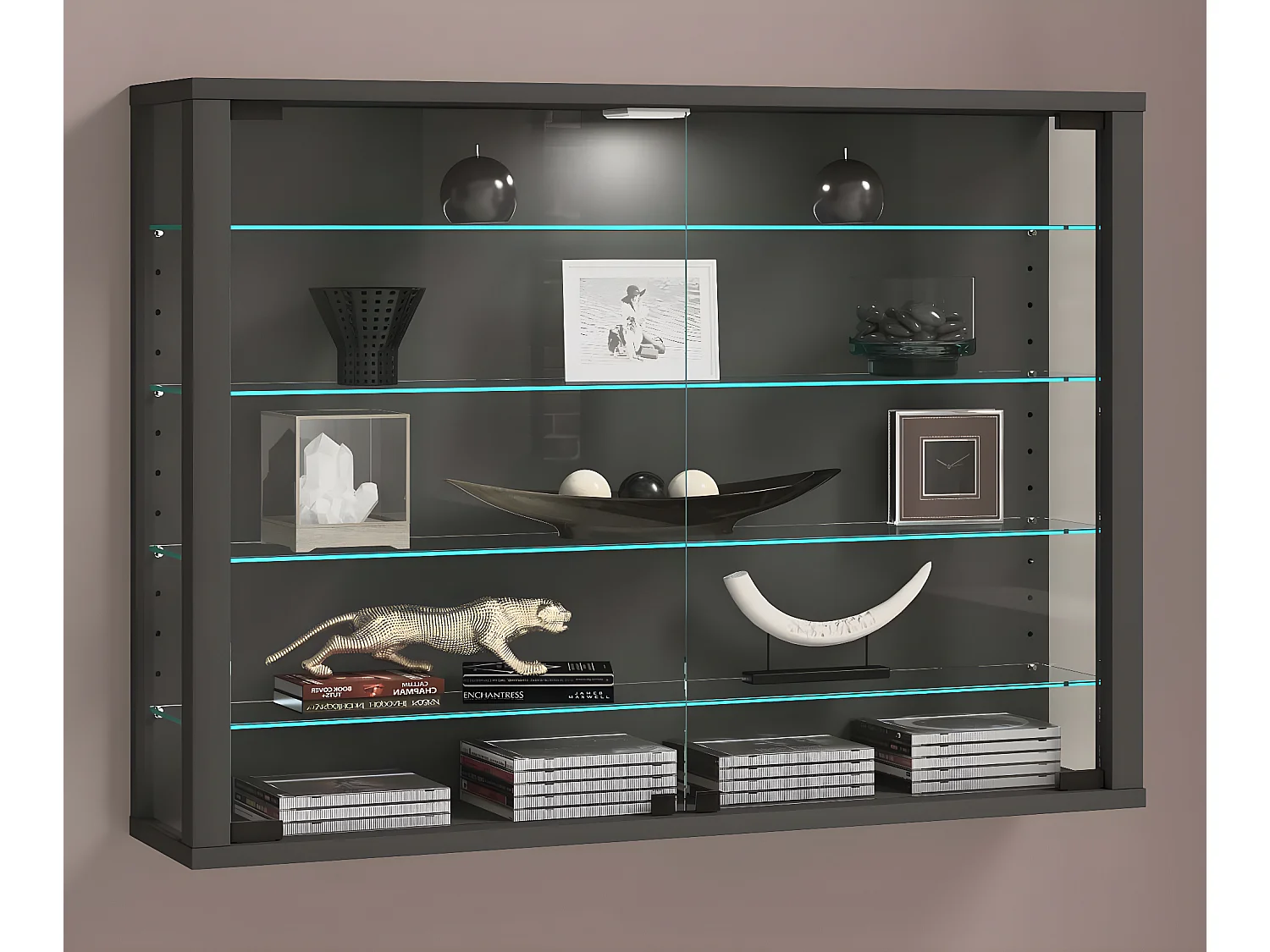 VCM vitrine murale vitrine suspendue vitrine murale vitrine en verre Vitrosa L (Anthracite)