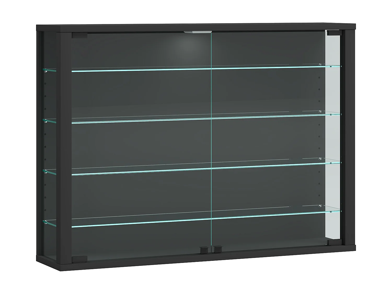 Wandvitrinekast Glazen vitrine Vitrosa L