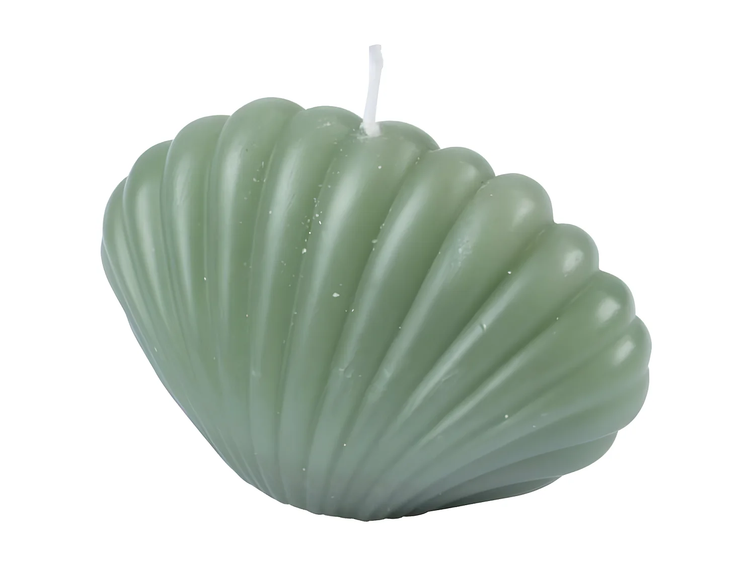 Bougie Déco Coquillage "Arty" 6cm Vert Céladon