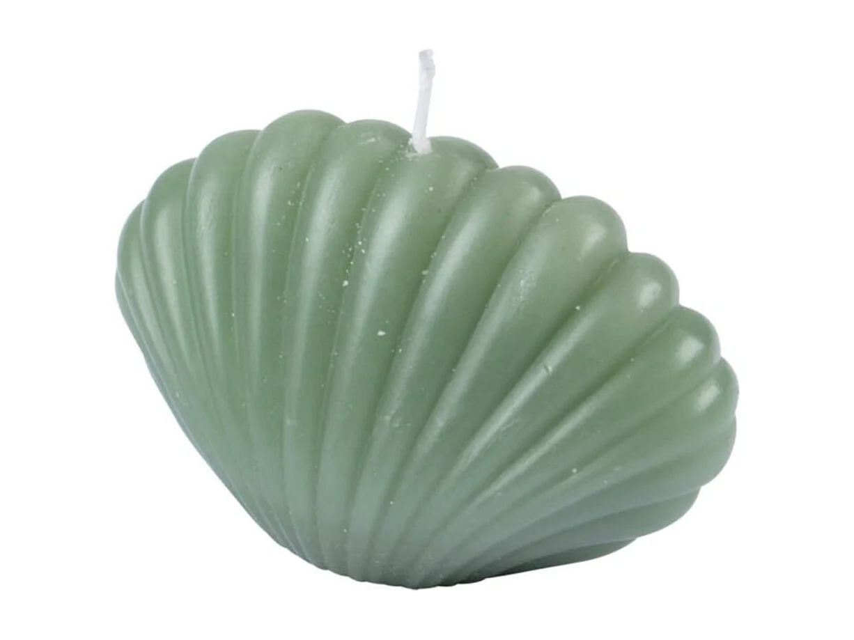 Bougie Déco Coquillage "Arty" 6cm Vert Céladon