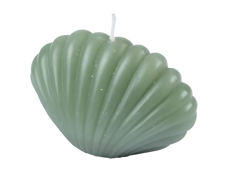 Bougie Déco Coquillage "Arty" 6cm Vert Céladon