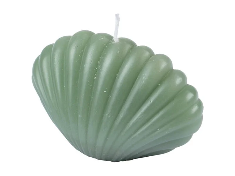 Bougie Déco Coquillage "Arty" 6cm Vert Céladon