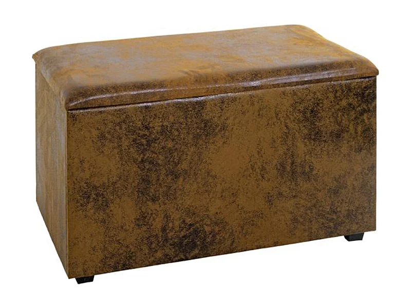 Coffre de Rangement Vintage "Topic" 65cm Marron