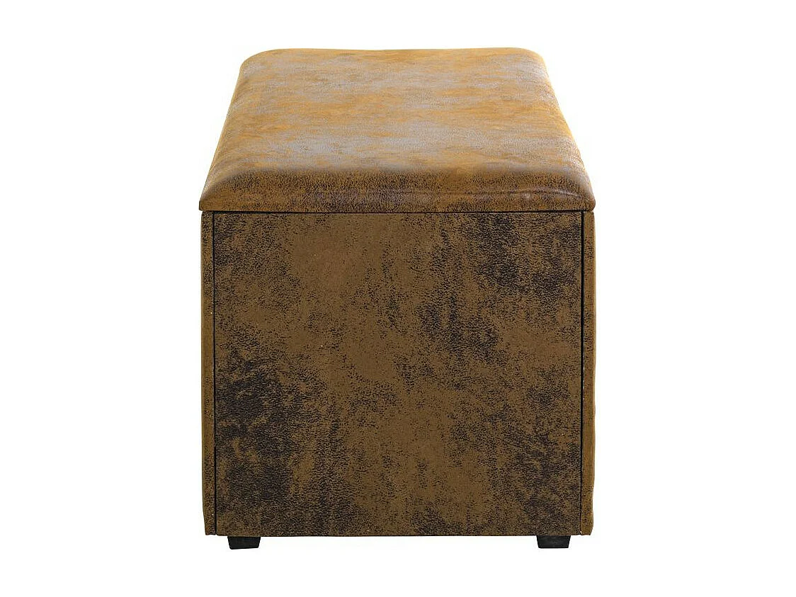 Coffre de Rangement Vintage "Topic" 65cm Marron