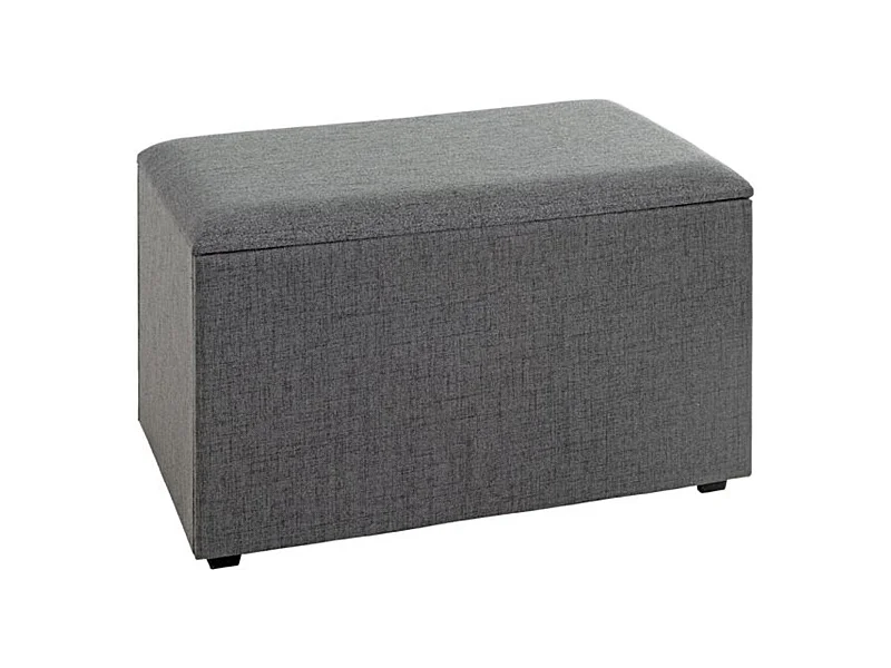 Coffre de Rangement Design "Lumyna" 65cm Gris