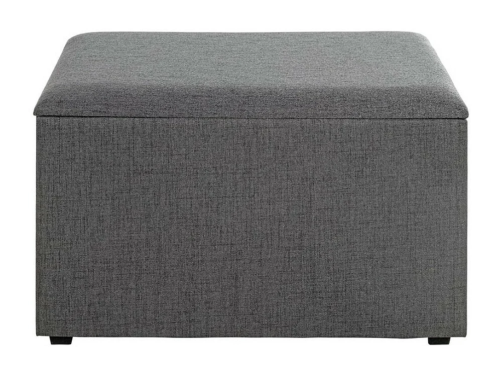 Coffre de Rangement Design "Lumyna" 65cm Gris