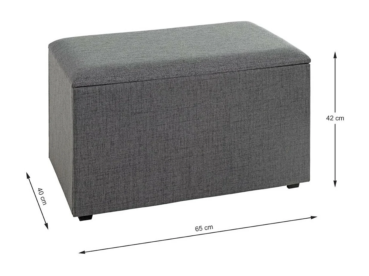 Coffre de Rangement Design "Lumyna" 65cm Gris