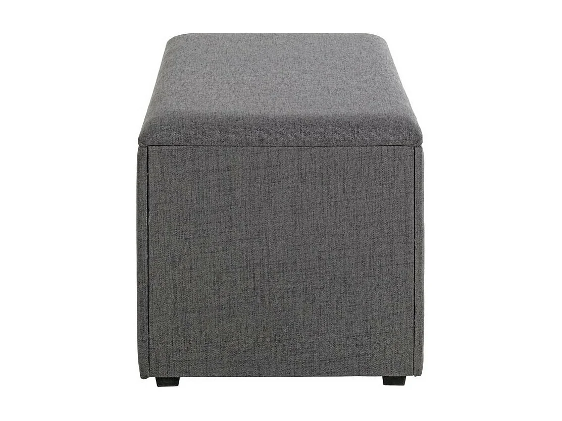 Coffre de Rangement Design "Lumyna" 65cm Gris