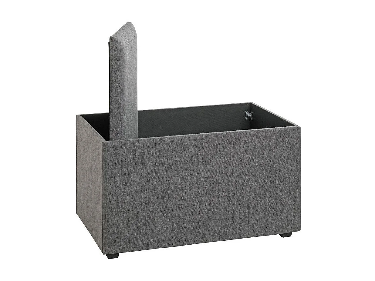 Coffre de Rangement Design "Lumyna" 65cm Gris
