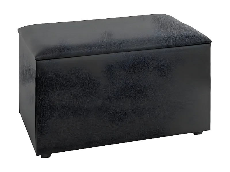 Coffre de Rangement Design "Soldi" 65cm Noir
