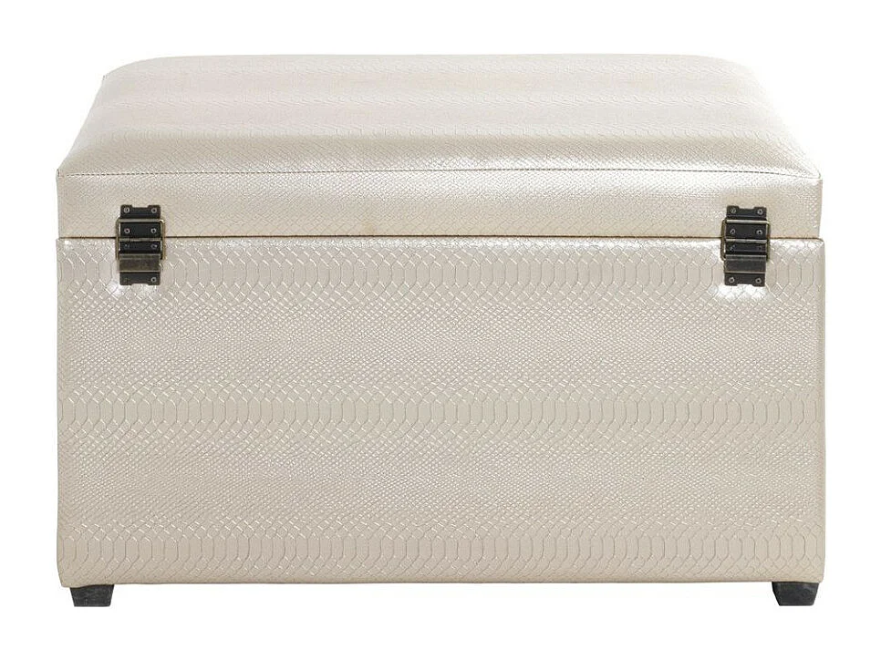 Coffre de Rangement "Hadao" 65cm Rose Gold