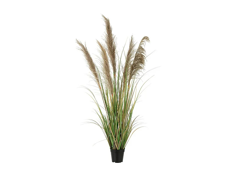 Herbe de Pampas Artificielle en Pot "5 Têtes" 140cm Vert & Beige