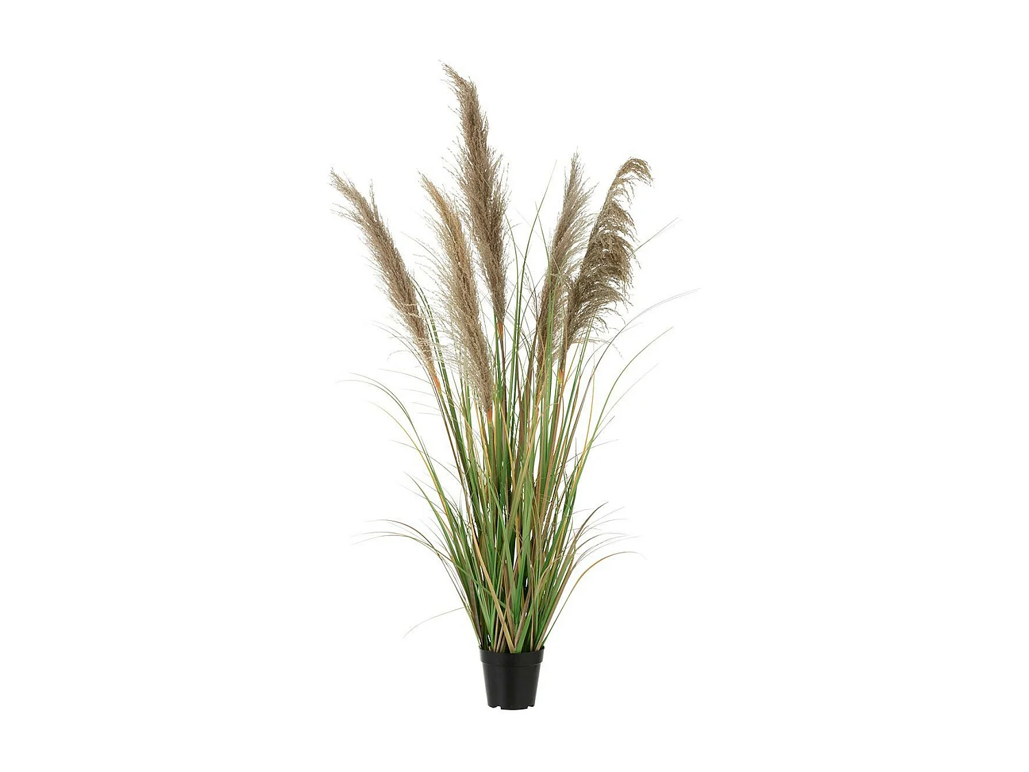 Herbe de Pampas Artificielle en Pot "5 Têtes" 140cm Vert & Beige