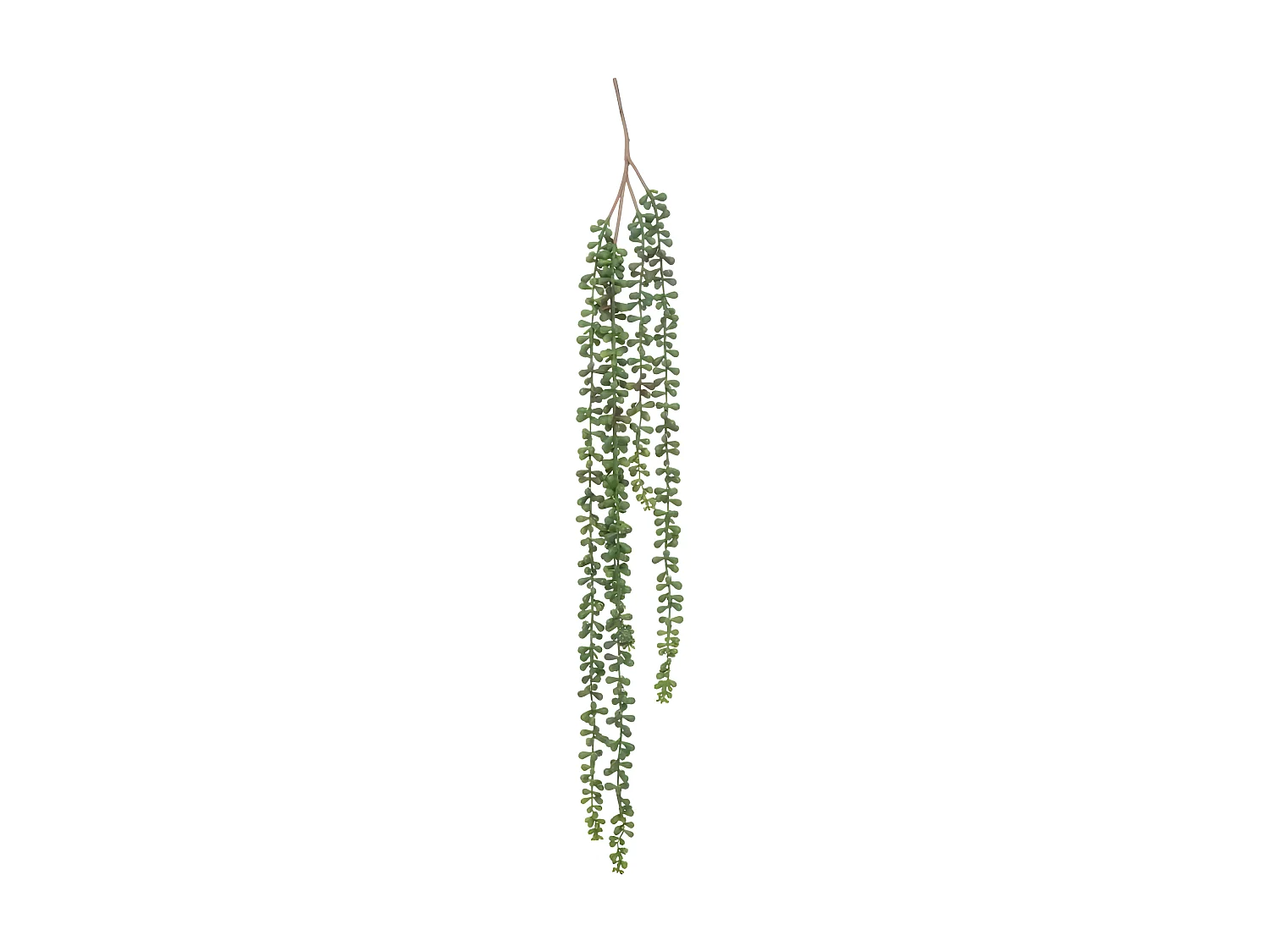 Plante Tombante Déco "Séneçon" 37cm Vert