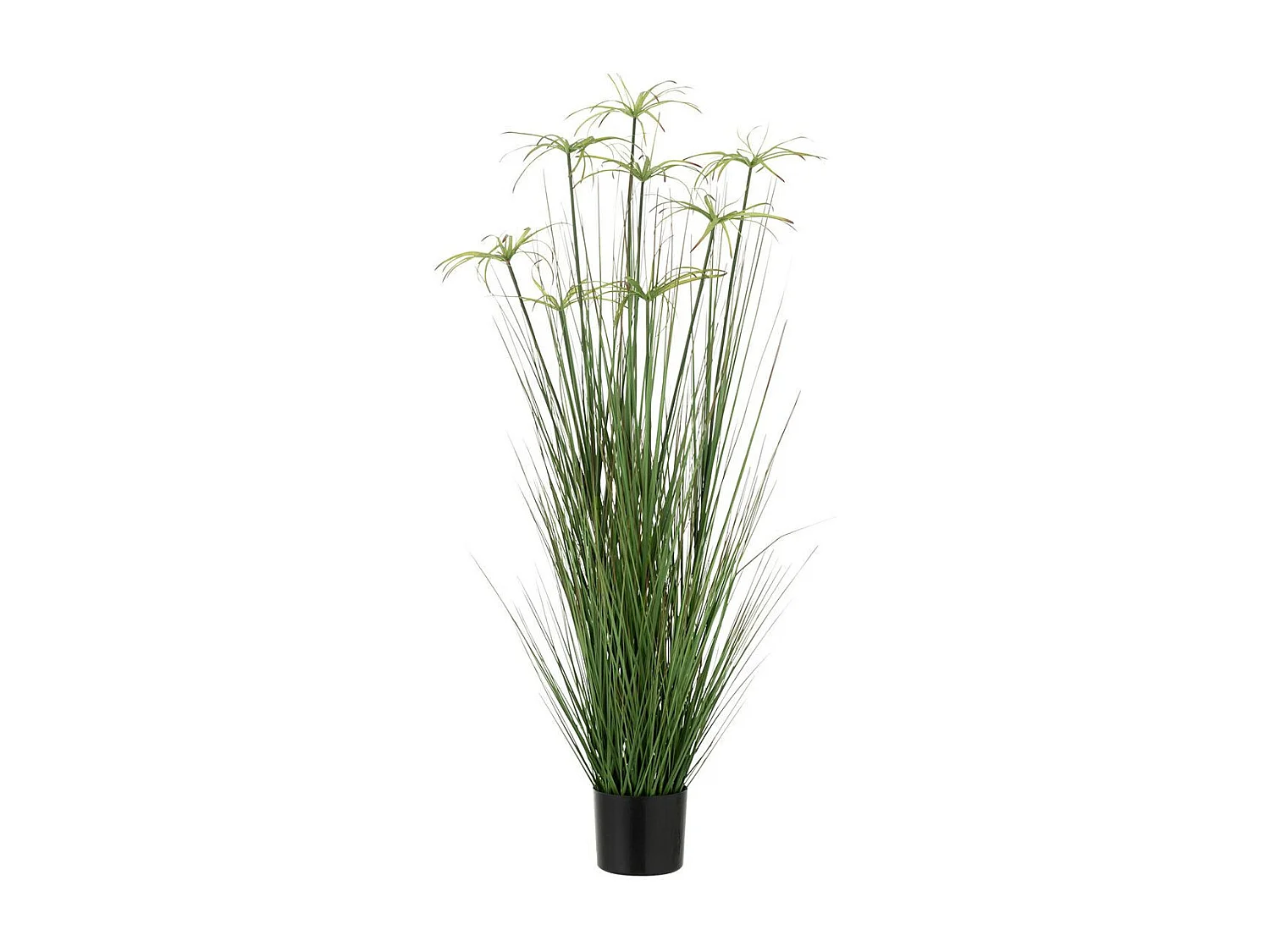 Plante Artificielle "Cyperus Alternifolius 8 Têtes" 132cm Vert