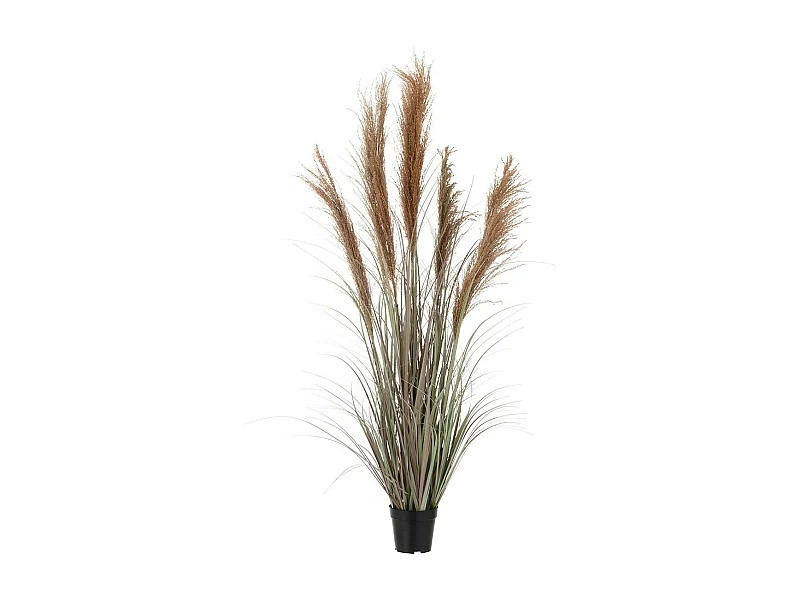 Herbe de Pampas Artificielle en Pot "5 Têtes" 147cm Vert & Orange