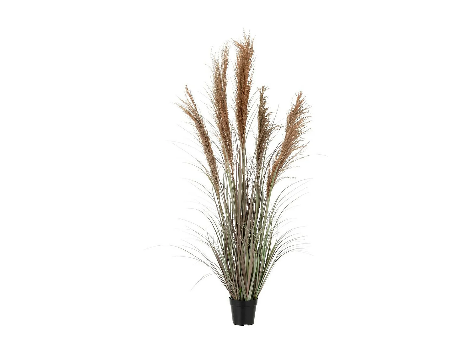 Herbe de Pampas Artificielle en Pot "5 Têtes" 147cm Vert & Orange