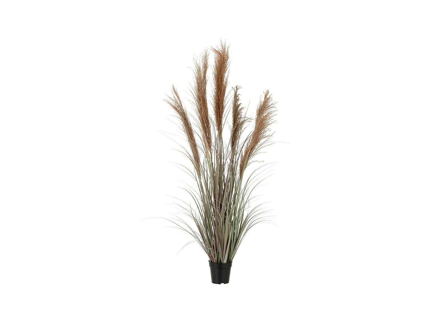 Herbe de Pampas Artificielle en Pot "5 Têtes" 147cm Vert & Orange
