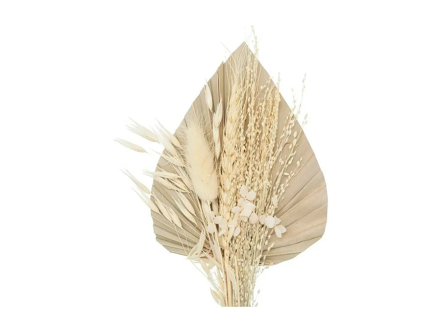 Mini Bouquet de Fleurs Naturelles "Seav" 30cm Beige