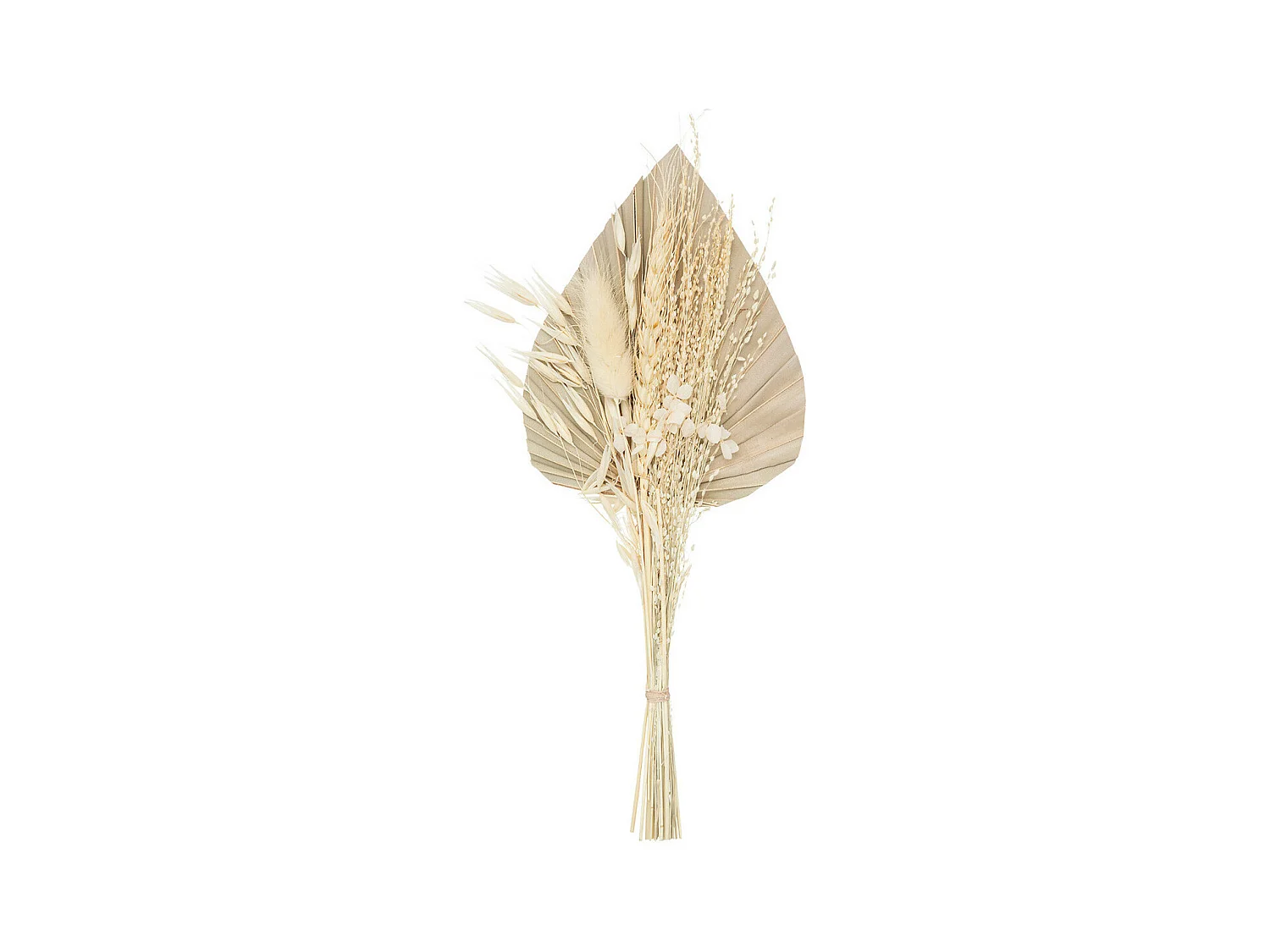 Mini Bouquet de Fleurs Naturelles "Seav" 30cm Beige
