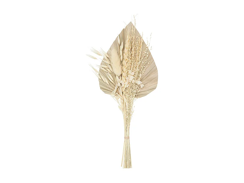 Mini Bouquet de Fleurs Naturelles "Seav" 30cm Beige