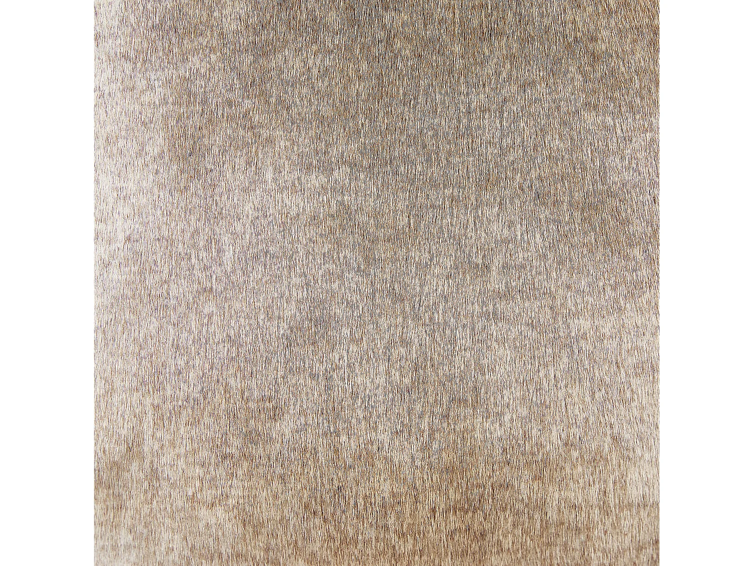 Lot de 2 coussins décoratifs HORDEUM Fourrure synthétique 45 x 45 cm Marron clair Unicolore