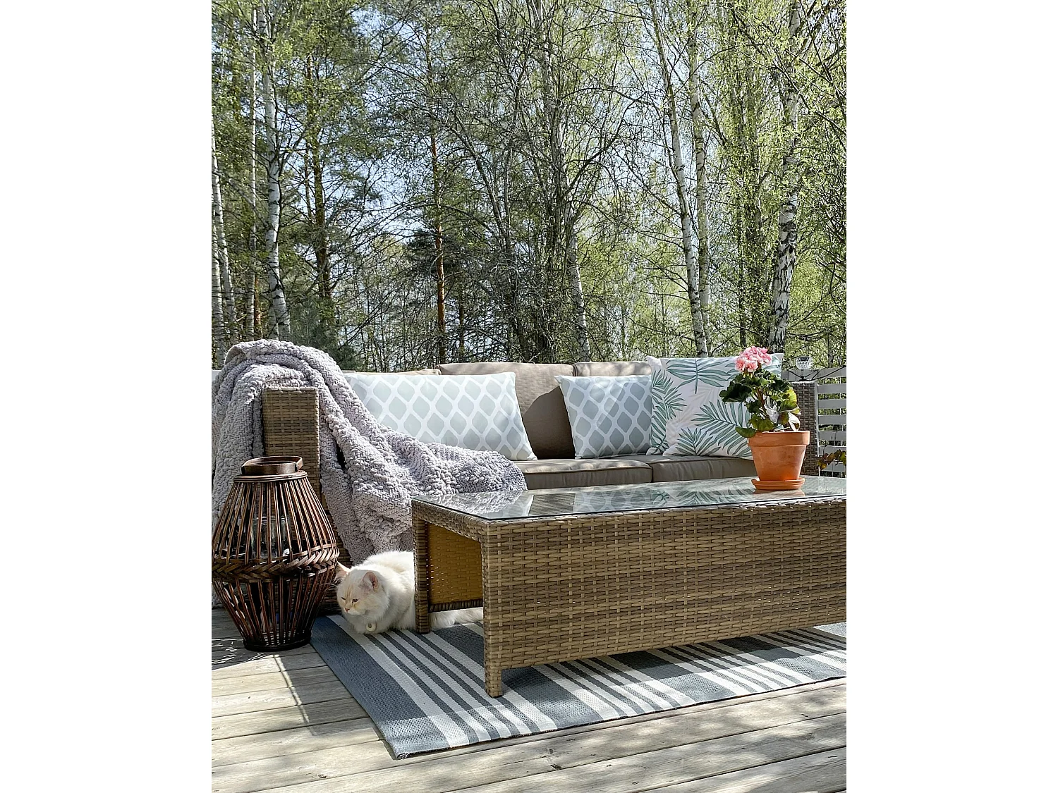 Conjunto de jardim com mesa 5 lugares BELLUNO Castanho