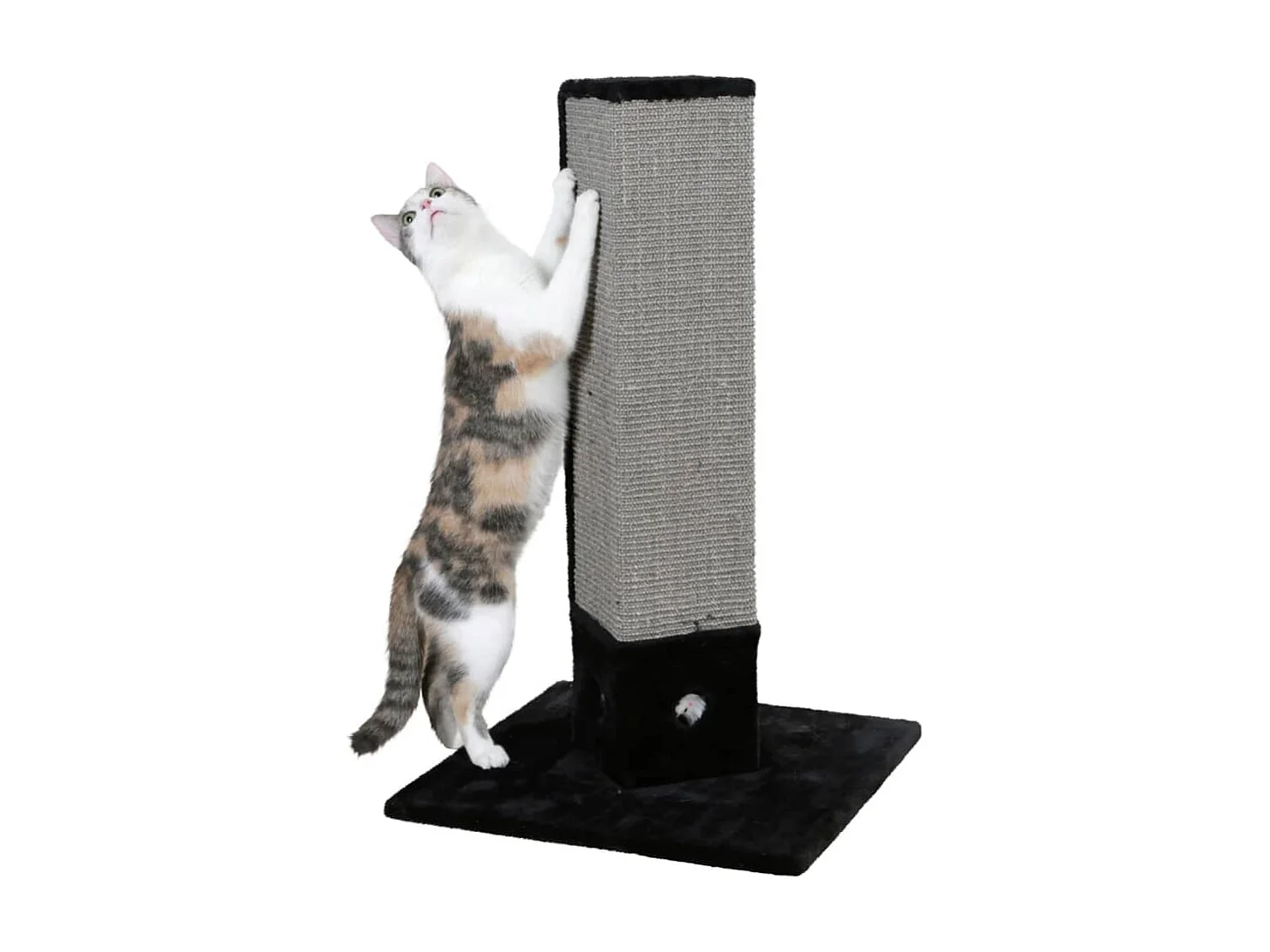 Arbre à chat 4-Corner 80 cm Noir