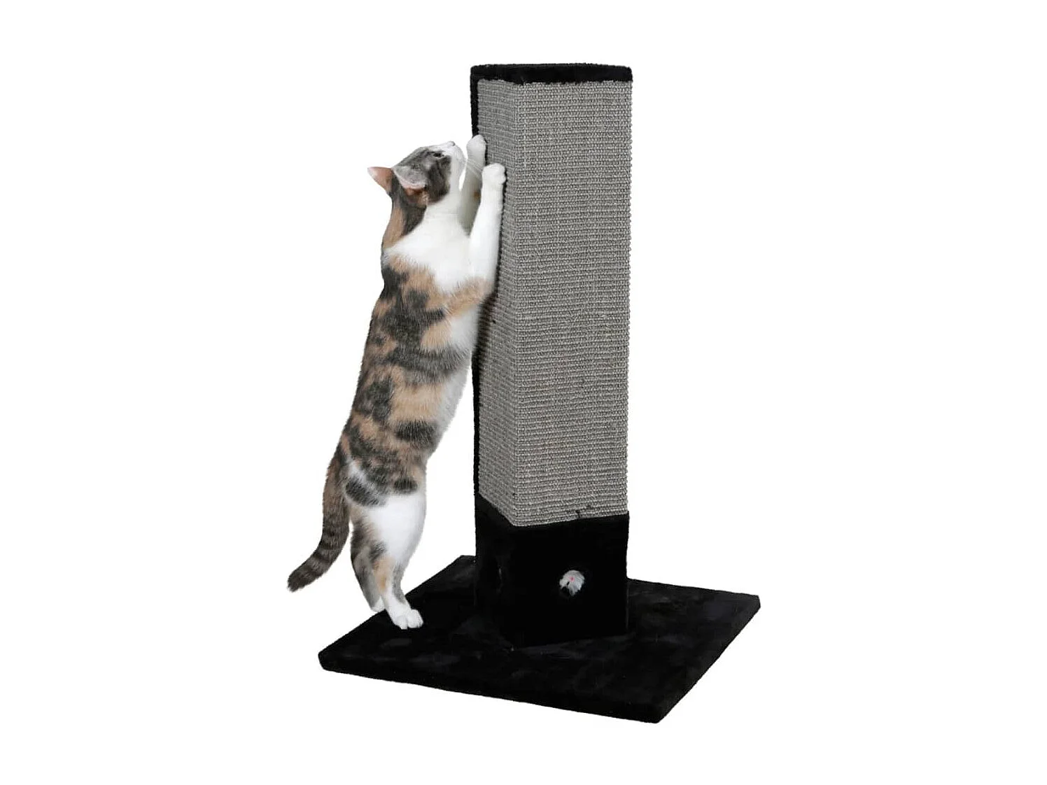 Arbre à chat 4-Corner 80 cm Noir