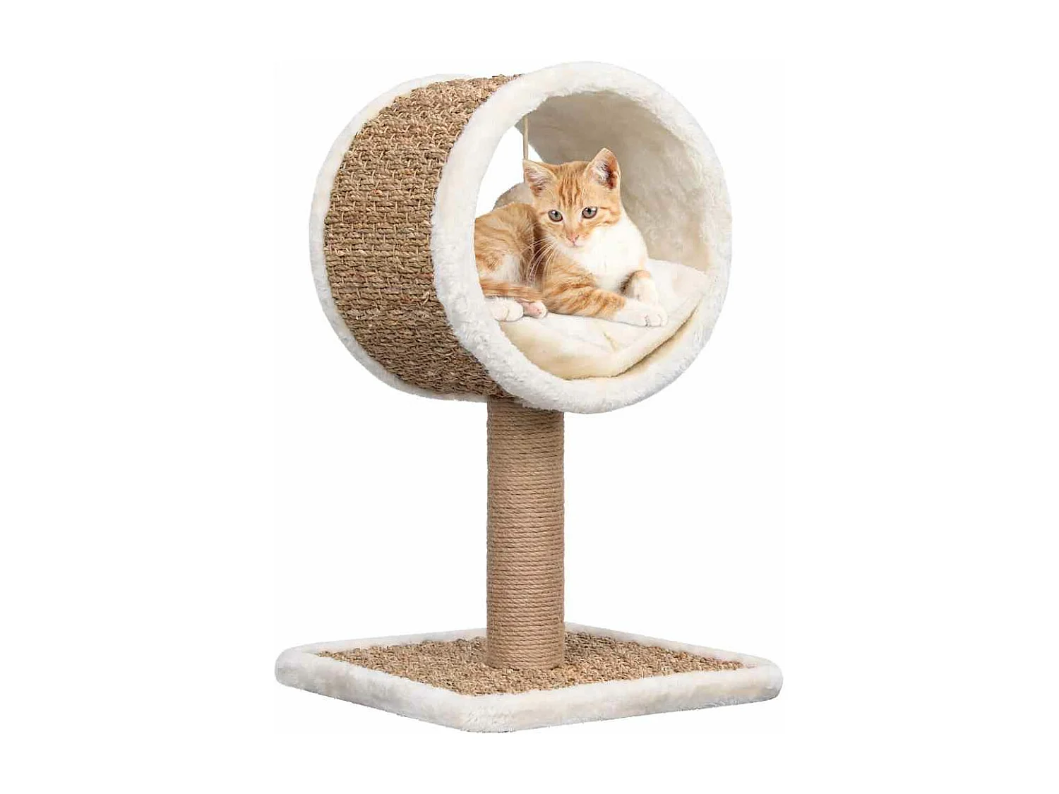 Árvore p/ gatos c/ túnel superior e brinquedo 49cm erva marinha