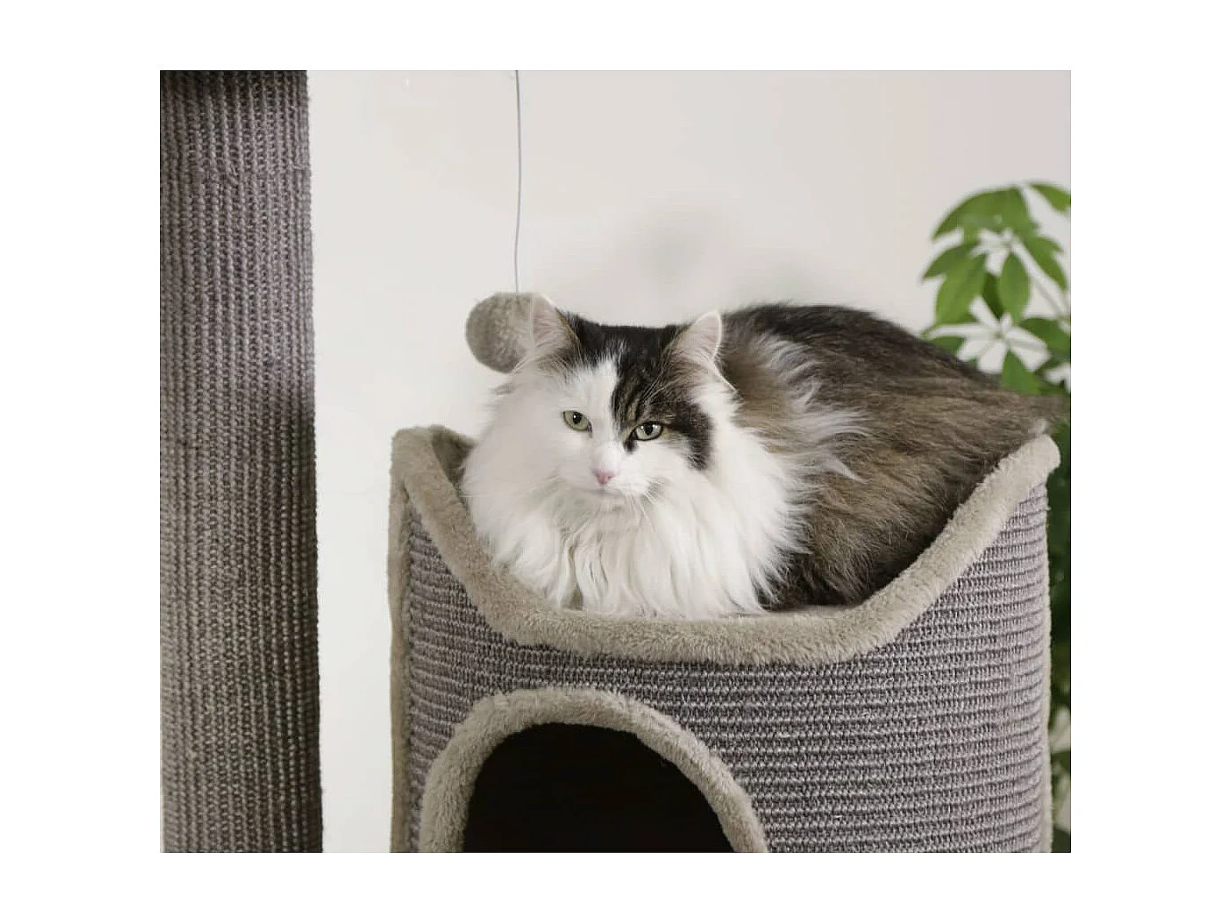 Arbre à chat Tiana 130 cm Gris