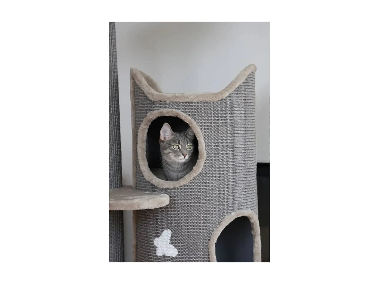 Arbre à chat Tiana 130 cm Gris