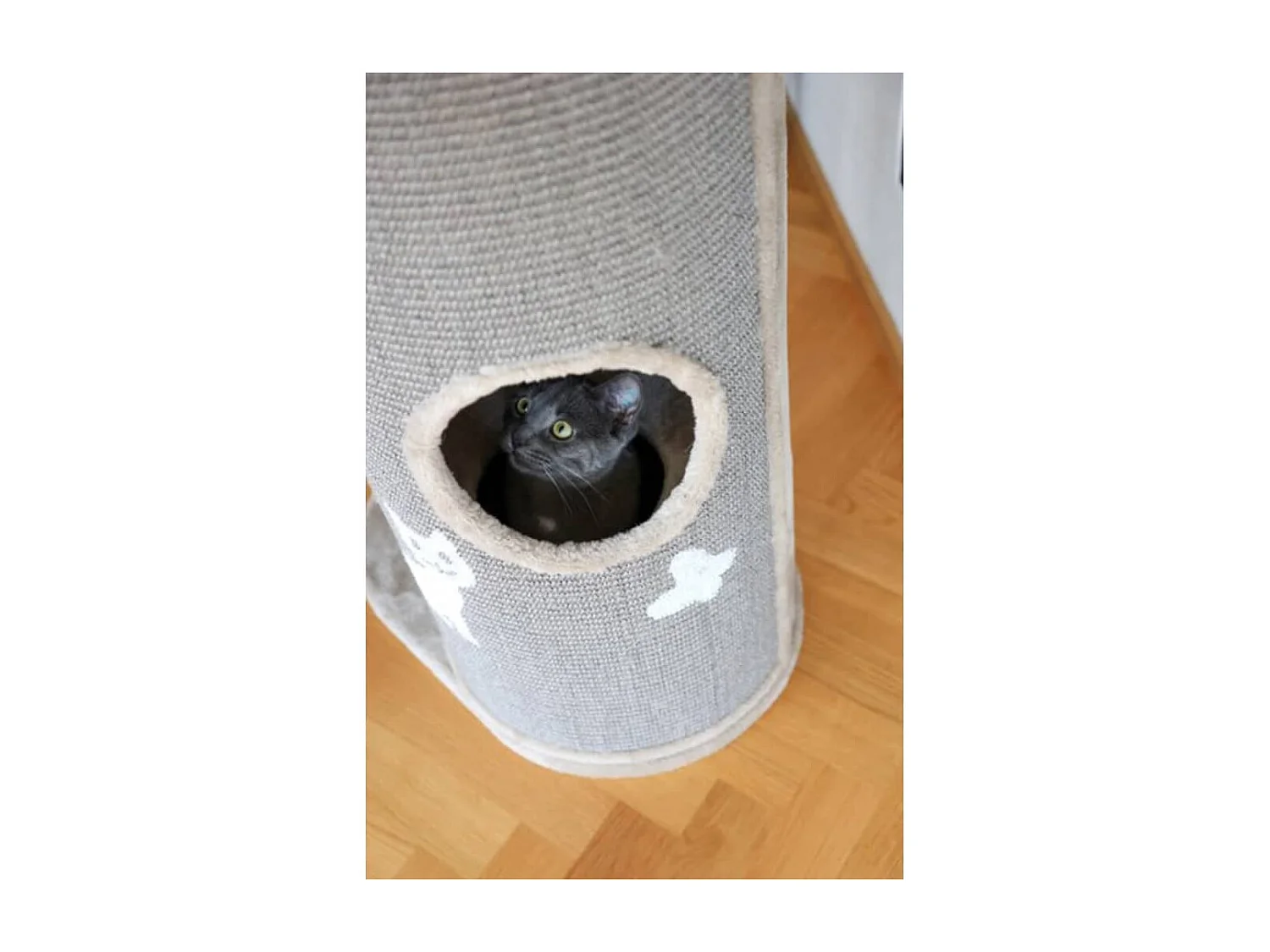 Arbre à chat Tiana 130 cm Gris