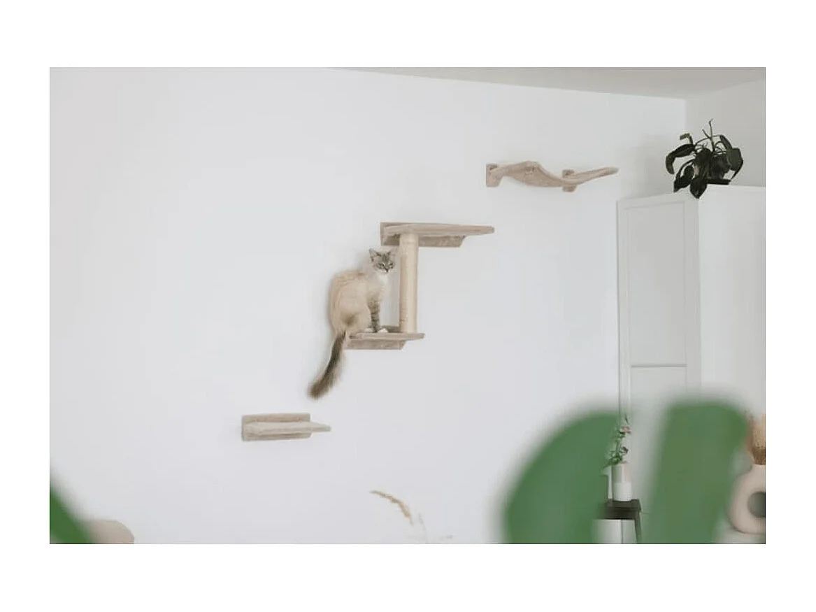 Katzen-Kletterwand Zugspitze Holz Beige