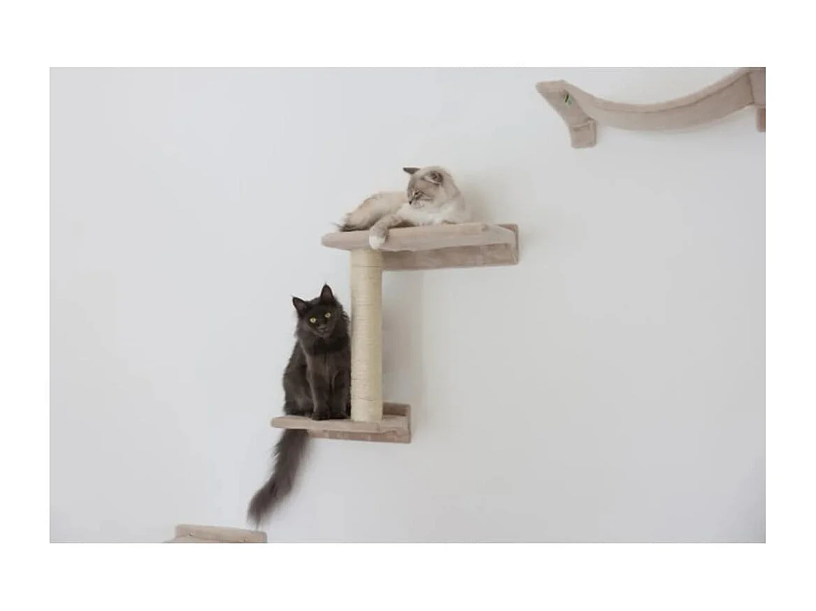 Katzen-Kletterwand Zugspitze Holz Beige