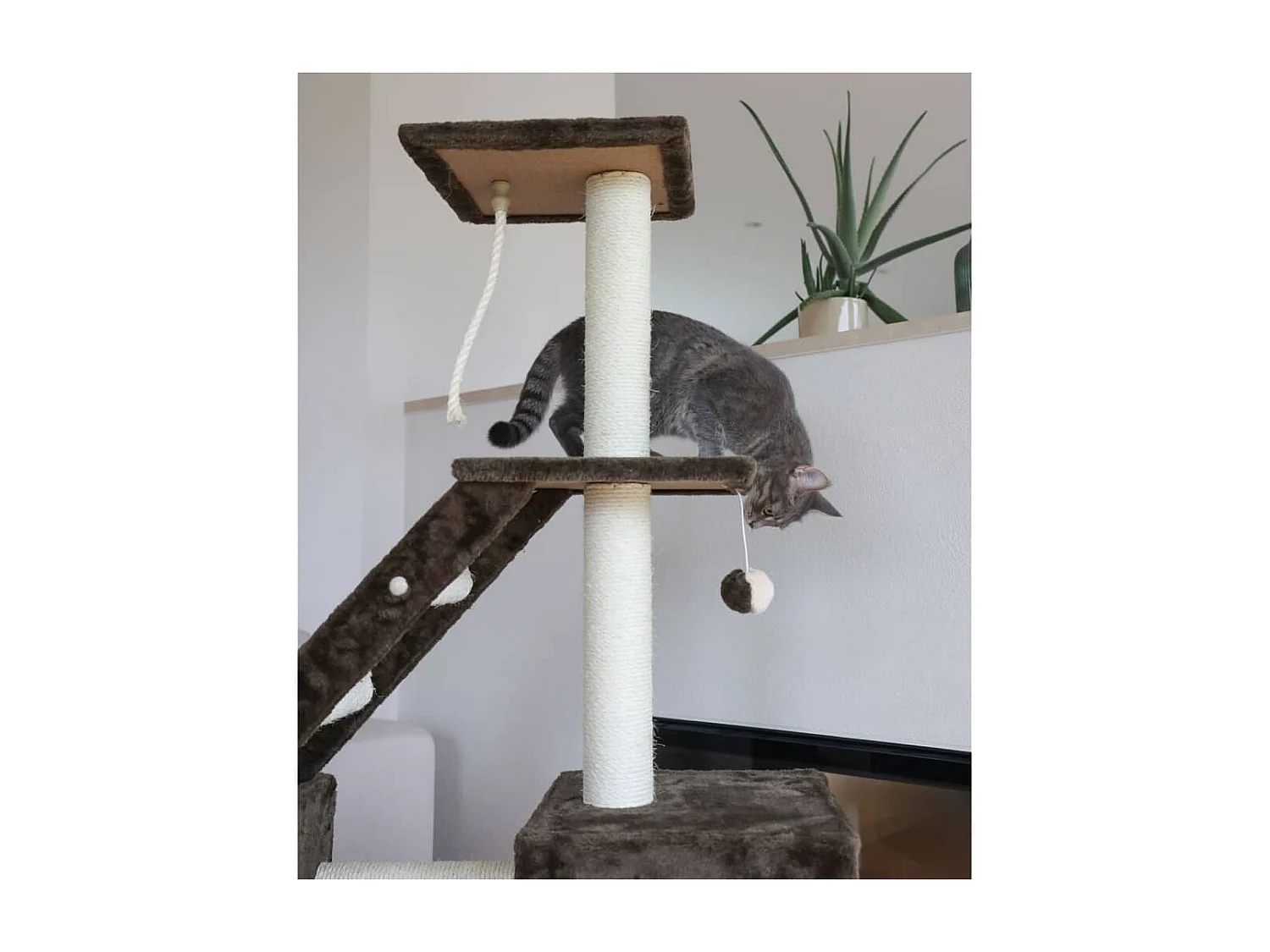 Arbre à chat Granat 150 cm Gris foncé