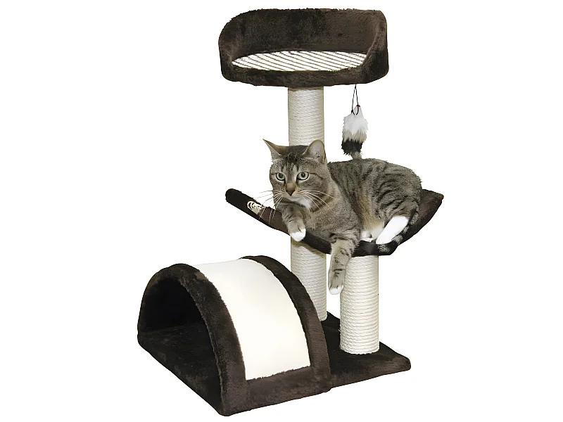 Arbre à chats Safari 60 cm Marron foncé