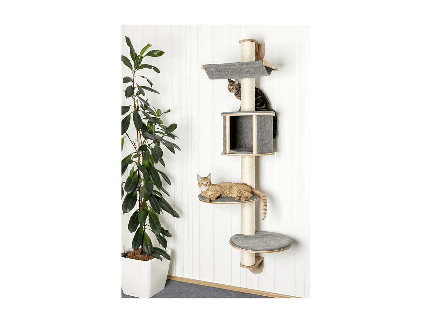 Árvore de parede para gatos Dolomit Tofana cinzento 168 cm 81540