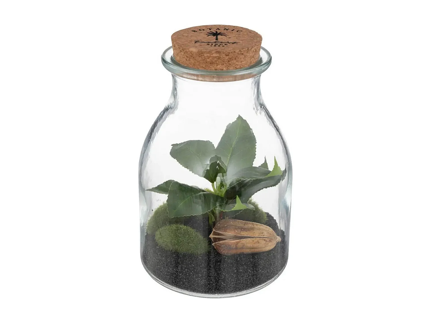 Terrarium en Verre "Bota" 19cm Transparent