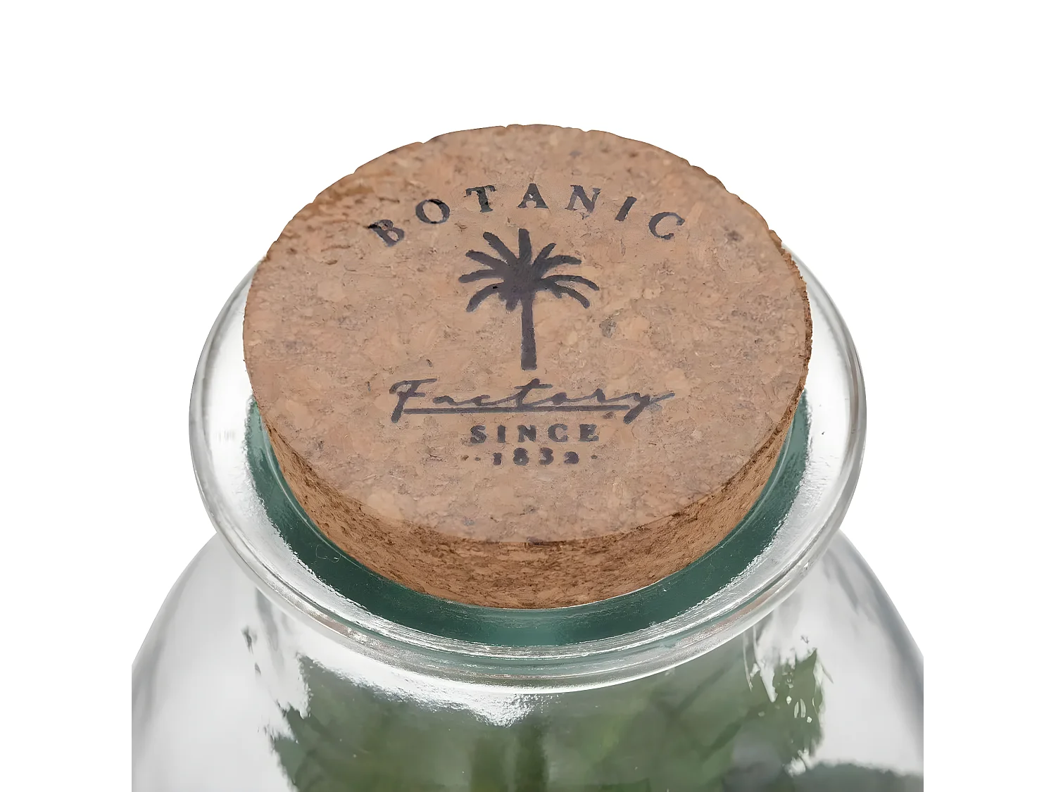 Terrarium en Verre "Bota" 19cm Transparent