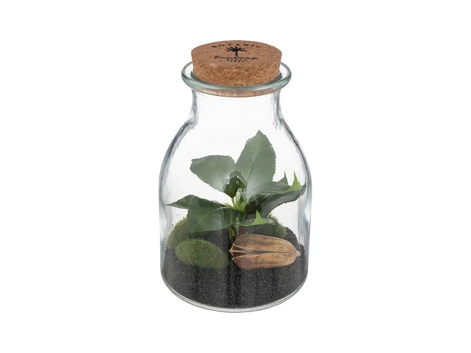 Terrarium en Verre "Bota" 19cm Transparent