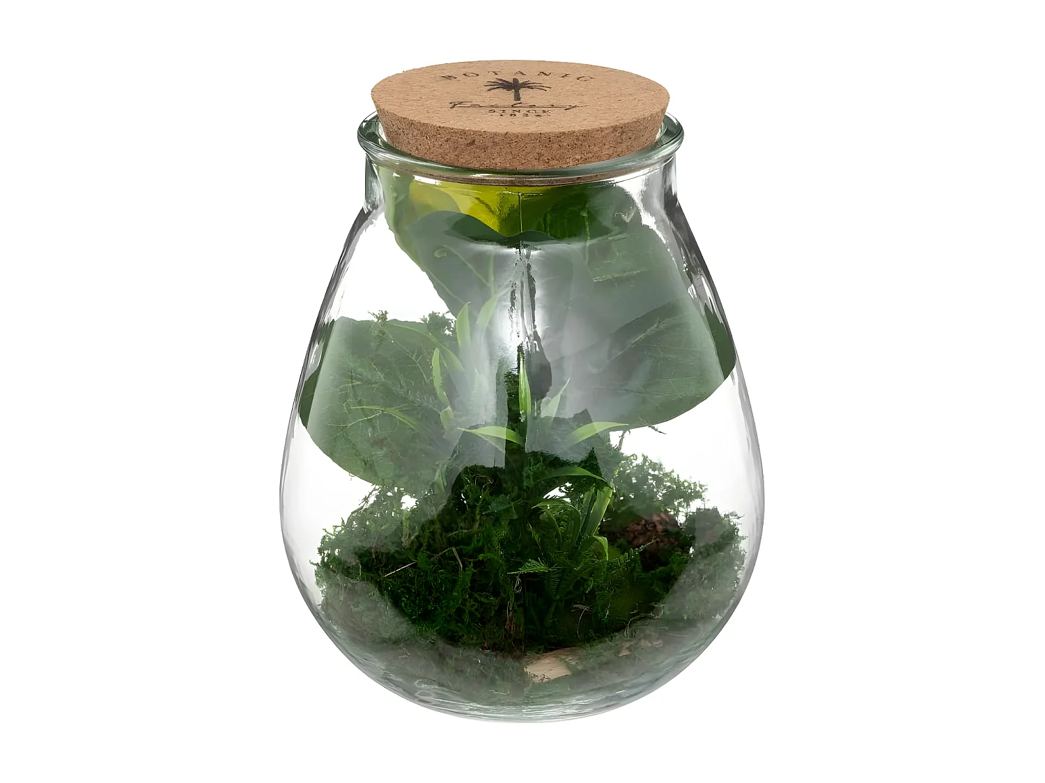 Terrarium en Verre "Bota" 29cm Transparent & Vert