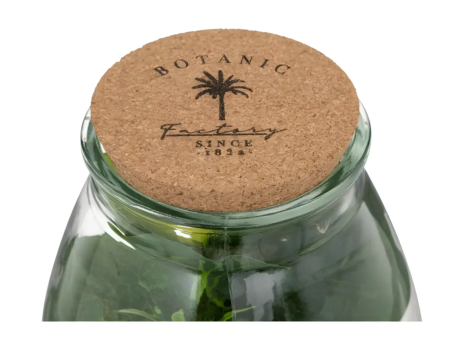 Terrarium en Verre "Bota" 29cm Transparent & Vert